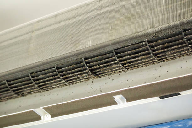 Best Affordable Duct Cleaning Services  in Mitchellville, MD